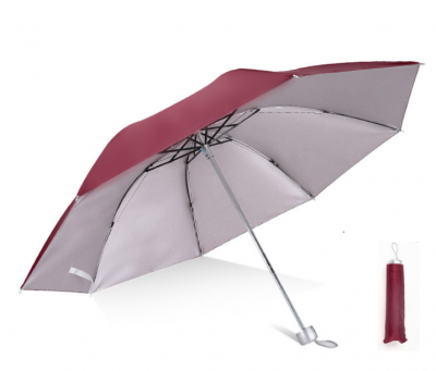 Folding Umbrella