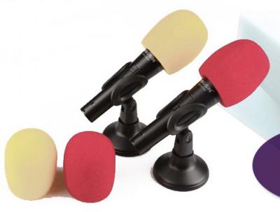 Microphone housing