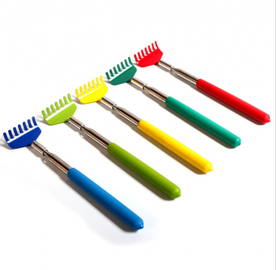 Stainless steel telescopic scrachers