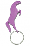 keychain with bottle opener
